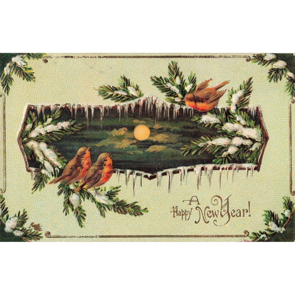 New Year Postcard Robins Birds Winter Icicles Pine Moon 1907 Embossed Antique